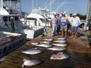 Pirate's Cove Marina, Tuna, Tuna, Tuna!