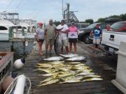 Pirate's Cove Marina, Bigeyes and Blue Marlin!