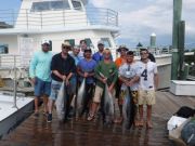 Pirate's Cove Marina, Another Blue Marlin!