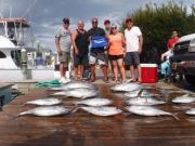 Pirate's Cove Marina, DCBBT and Billfish!