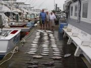 Pirate's Cove Marina, Mackerel and Billfish!