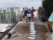 Pirate's Cove Marina, Tunas and Billfish