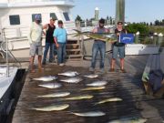 Pirate's Cove Marina, ~ 1st White Marlin of the Season~