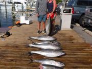 Pirate's Cove Marina, Those Sharks though!!!