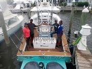 Pirate's Cove Marina, Inshore Fishermen Catching Blues