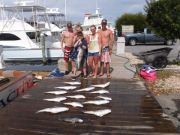 Pirate's Cove Marina, Tile Fish Galore!!