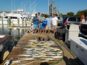 Pirate's Cove Marina, Fishing is back in Action Baby.!.!