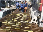 Pirate's Cove Marina, Another Fin-tastic Day of Fishing...