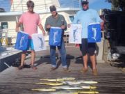 Pirate's Cove Marina, Fish for the Fleet.!.!.
