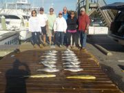 Pirate's Cove Marina, Hallelujah for Tuna…