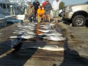 Pirate's Cove Marina, Yellow-fin Tuna.. It's what's for dinner...