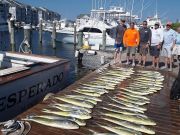 Pirate's Cove Marina, What A Fin-ominal Day...