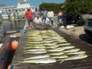 Pirate's Cove Marina, Catch of the Day!