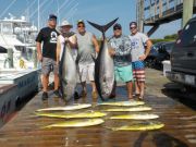 Pirate's Cove Marina, This Fishin is the REEL Deal...