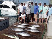 Pirate's Cove Marina, It's Fish O'Clock Somewhere