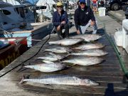 Pirate's Cove Marina, Tuna Tuesday