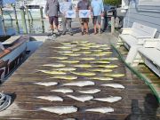 Pirate's Cove Marina, Tuesdays are for Fish Tacos!