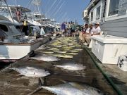 Pirate's Cove Marina, Talk About A Tuesday!