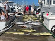 Pirate's Cove Marina, Father’s Day Fishing!