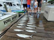 Pirate's Cove Marina, Testy Tuesday!