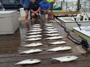 Pirate's Cove Marina, Blow Day - Slow Day!