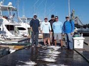 Pirate's Cove Marina, Thursday’s Catch