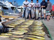 Pirate's Cove Marina, The Fish so Nice, They Named it Twice!