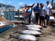 Pirate's Cove Marina, Sunday Funday!