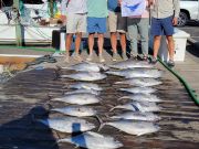 Pirate's Cove Marina, Fintastic Friday!