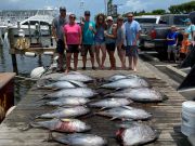 Pirate's Cove Marina, Wednesday's Catch!