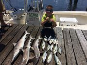 T-Time Charters, Good shark fishing with bluefish in the ocean today