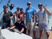 Pirate's Cove Marina, Mackerel Mania