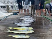 Pirate's Cove Marina, Fridays are for Fishing!!
