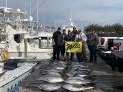 Pirate's Cove Marina, Tuna Bites!