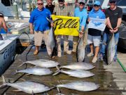 Pirate's Cove Marina, Fresh Catch Friday