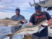 Wanchese Marina, Cobia Fever!