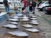 Pirate's Cove Marina, Beautiful Day, Good Fishin’