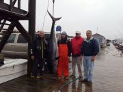 Pirate's Cove Marina, Tuna!
