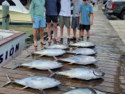 Pirate's Cove Marina, Wednesday's Catch!!!