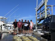 Pirate's Cove Marina, Take it to the Limit!