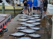 Pirate's Cove Marina, Rain or Shine it’s STILL Tuna Time!