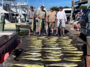 Pirate's Cove Marina, Mahi Mania!!!