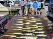 Pirate's Cove Marina, Happy July!!!!