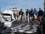 Pirate's Cove Marina, Wham!  Bam!  Grand Meat Fish Slam!