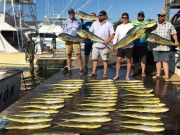 Pirate's Cove Marina, Friday Fishin’!