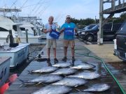 Pirate's Cove Marina, Tuna and Billfish!