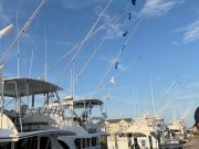 Pirate's Cove Marina, Monday Madness!