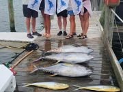 Pirate's Cove Marina, Terrific Tuesday Trio