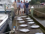 Pirate's Cove Marina, Friday Tuna Frenzy