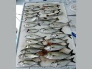 Crystal Dawn Head Boat Fishing and Evening Cruise, Tough Conditions